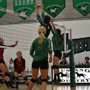 Meet your Posher, Danyel